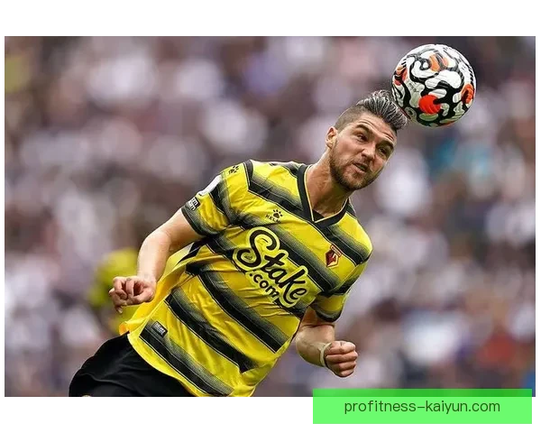 诺维奇黄绿军团状态回暖，赛季表现值得关注